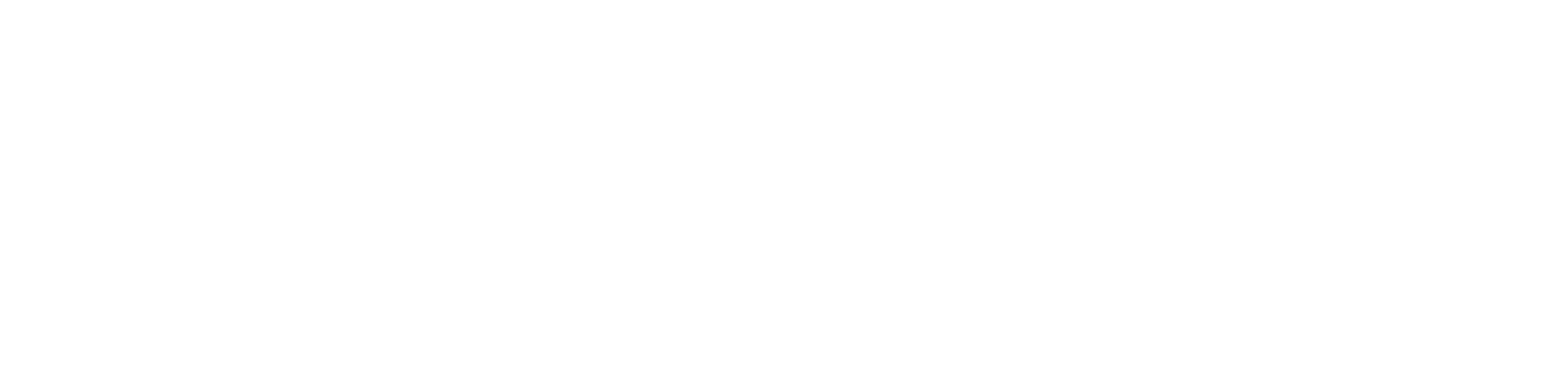 Rastegar Law Group